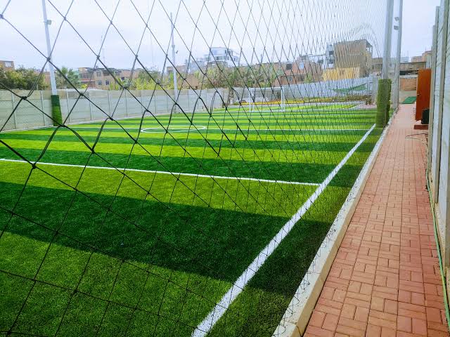 Vista img1 de Super campeones